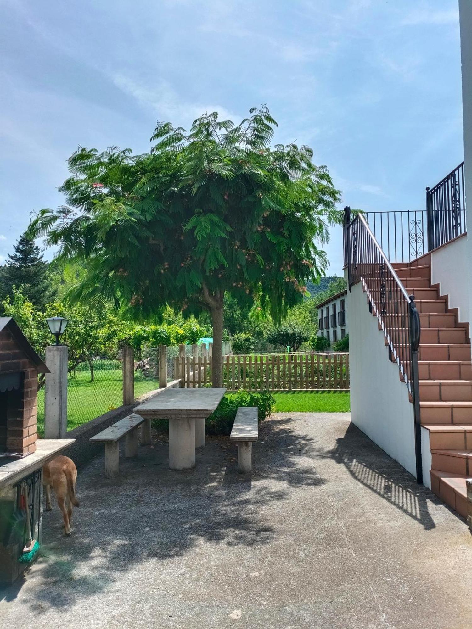 Apartamento Rural Casa Paco Con Jacuzzi Exterior Y Barbacoa Ainsa Ngoại thất bức ảnh